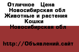 Отличное › Цена ­ 10 - Новосибирская обл. Животные и растения » Кошки   . Новосибирская обл.